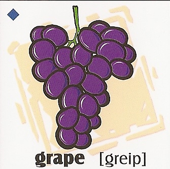 skolka_bratislava_grape