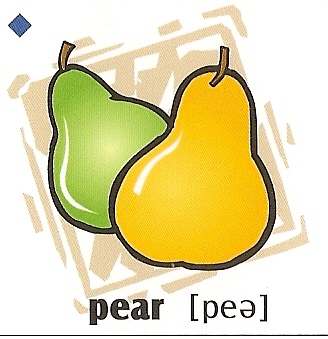 skolka_bratislava_pear