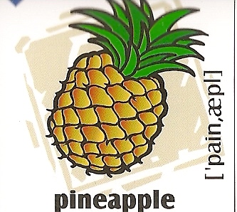 skolka_bratislava_pineapple