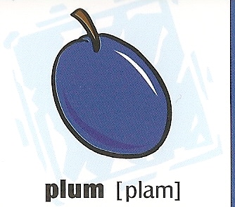 skolka_bratislava_plum