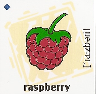 skolka_bratislava_raspberry