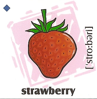 skolka_bratislava_strawberry