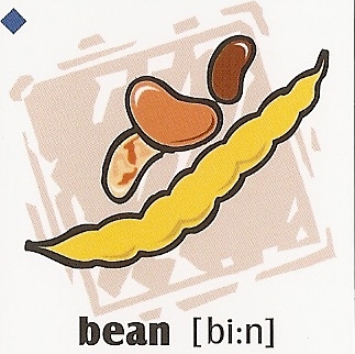 skolka_bratislava_bean