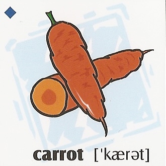 skolka_bratislava_carrot