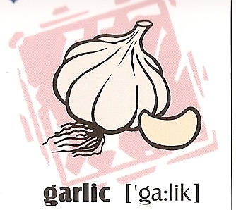 skolka_bratislava_garlic