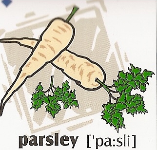 skolka_bratislava_parsley