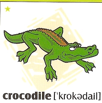 skolka_bratislava_crocodile