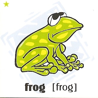 skolka_bratislava_frog