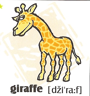 skolka_bratislava_giraffe