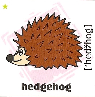 skolka_bratislava_hedgehog