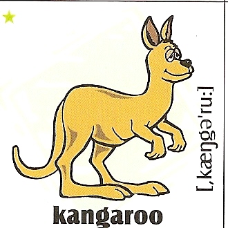 skolka_bratislava_kangaroo