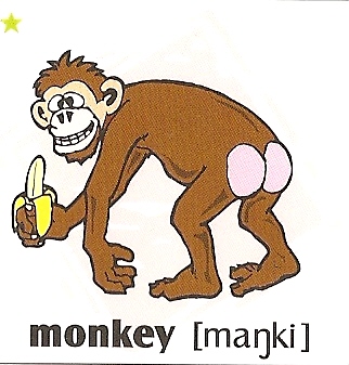 skolka_bratislava_monkey