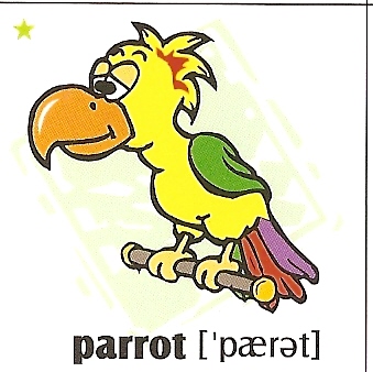 skolka_bratislava_parrot