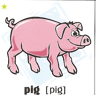 skolka_bratislava_pig