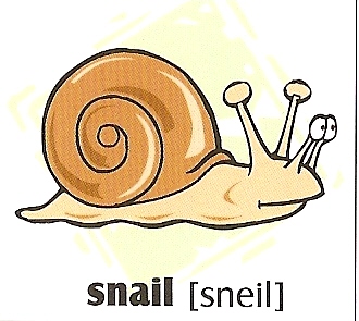 skolka_bratislava_snail