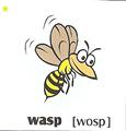 skolka_bratislava_wasp