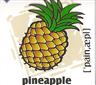 skolka_bratislava_pineapple